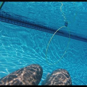 Meet your Posher, Morgan